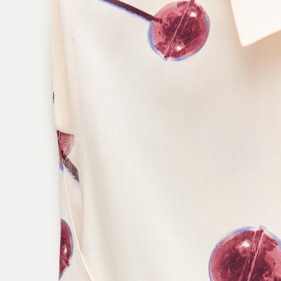 ZARA SS24 PRINTED POPLIN SHIRTDRESS ZW COLLECTION 3089/144 019/320 - Picture 9 of 11